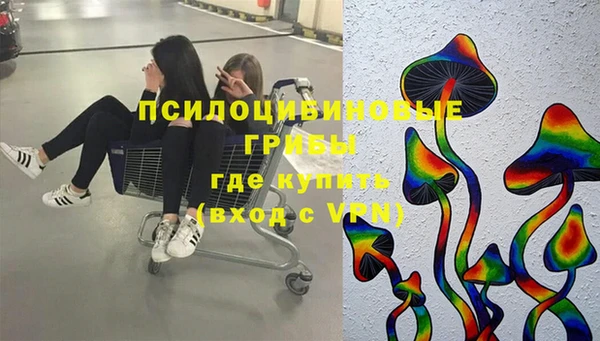 эйфоретик Богданович